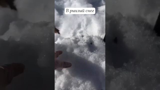 Как сохранить купленные в марте саженцы до высадки в грунт.