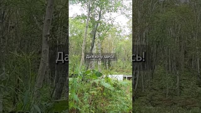 Неудачные дубли и бекстейдж из выпуска про Лягушку №2