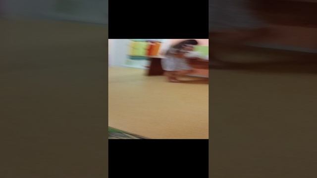 VID_20240806_210647.mp4