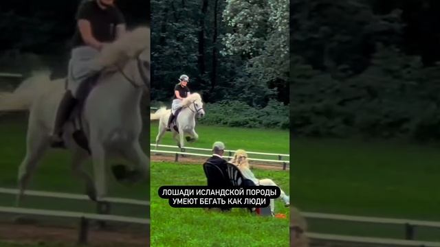 Странноватая 😅