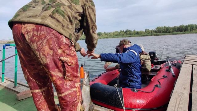 рыбалка на Дону. Донское ранчо.