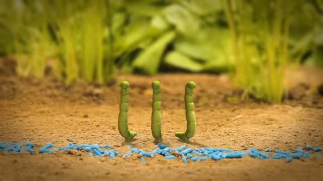 The vegetable garden-Овощной сад (360p)