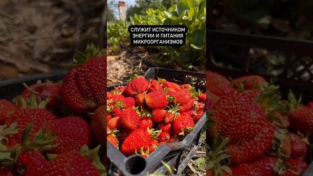 В маленьком видео конечно сложно охватить тему. Читай описание.