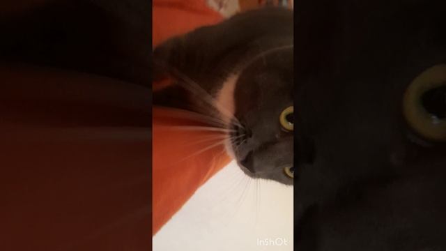 Пхпхпхпх♡♥︎