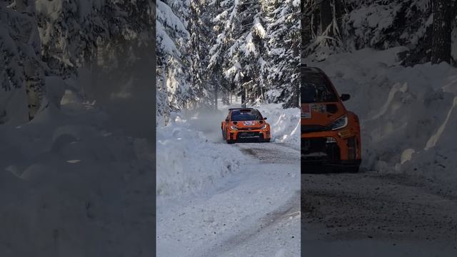 Beautyful snowy conditions 🤩 Georg Linnamäe 🇸🇪❄️ #rally #rallysweden #rallye #wrc  @georglinnamäe