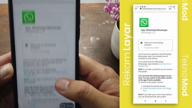 Cara Update Whatsapp ke Versi BETA di Playstore