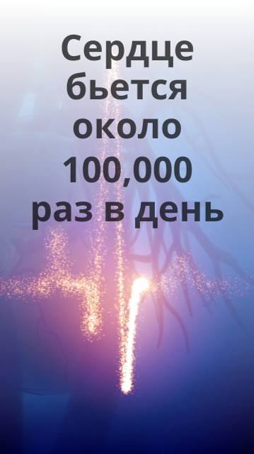 Ваше сердце бьется 100 000 раз в день! Удивительные факты о главном двигателе жизни