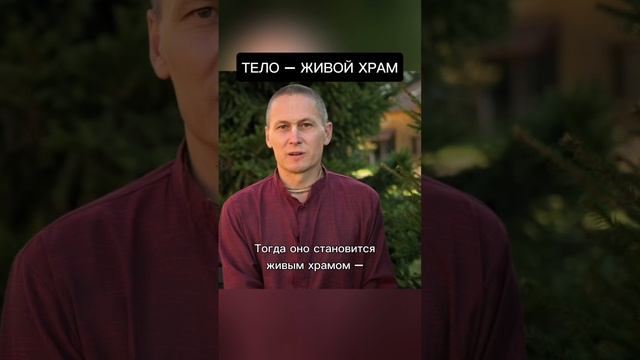 Тело –живой храм