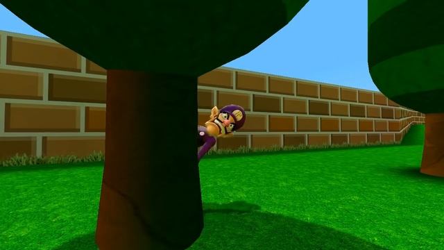 SM64 bloopers: The Great Yoshi Race.