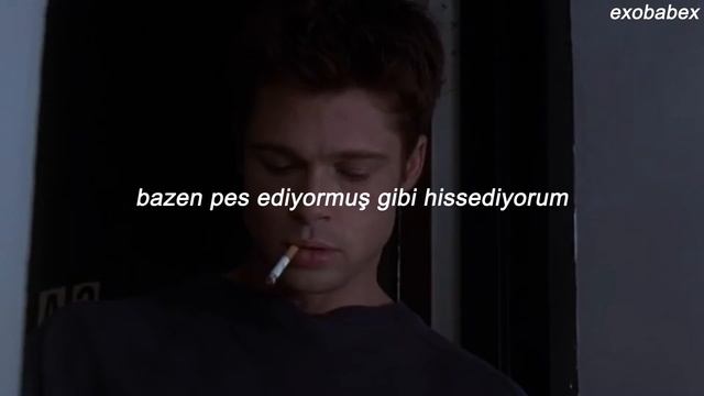 shawn mendes ; in my blood (türkçe çeviri)