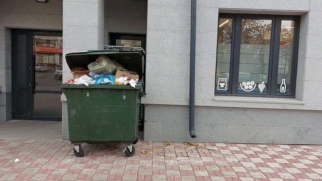 магнит, помойка