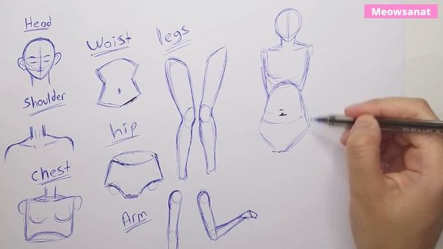 HOW TO DRAW A FEMALE BODY FOR BEGINNERS | human body drawing