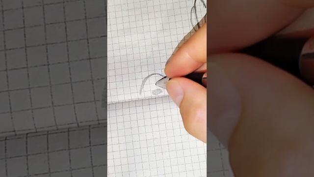 как нарисовать мишку