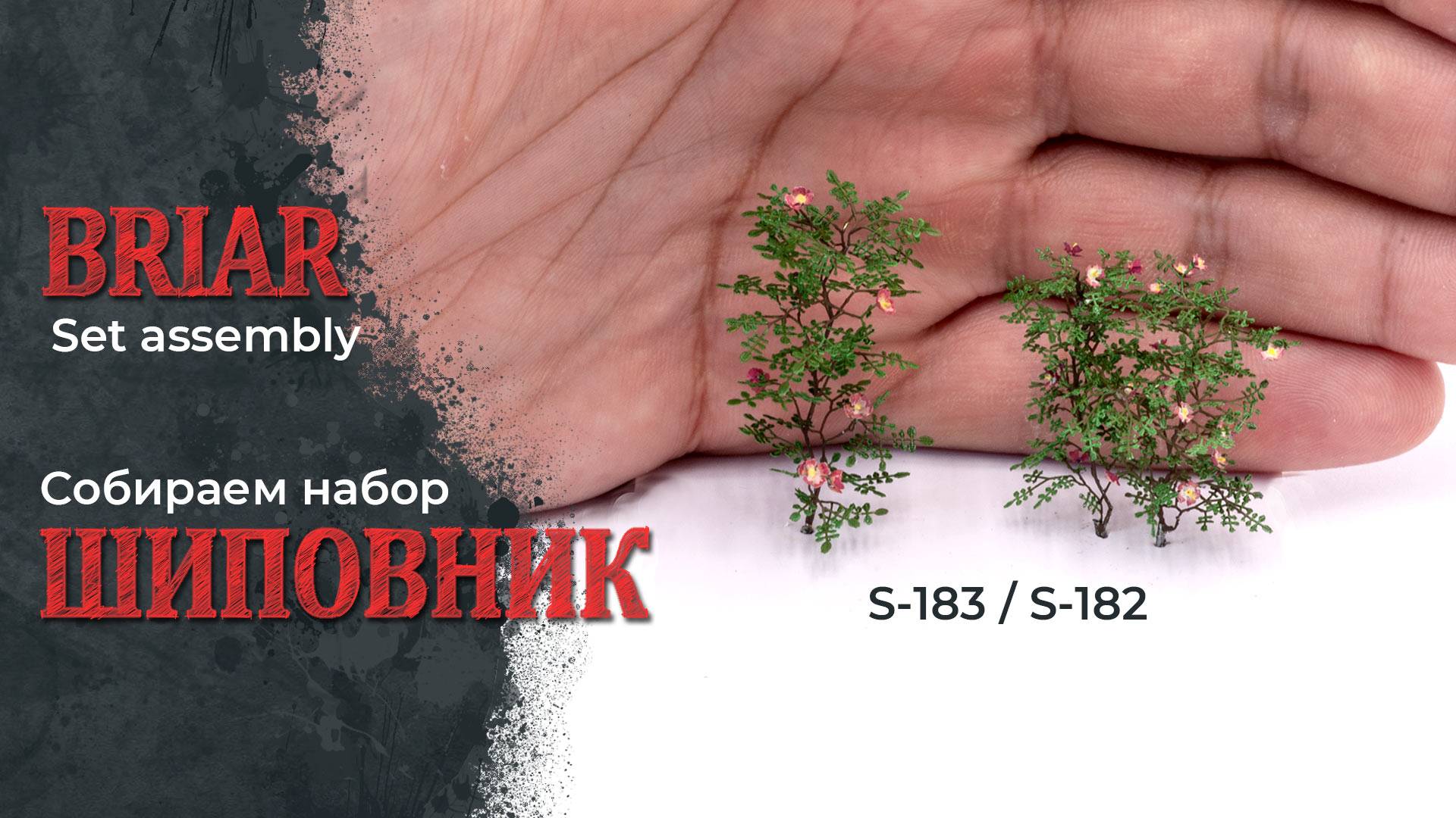 Шиповник фототравлёный - сборка
