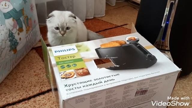 Тили тили тили бом загорелся кошки дом