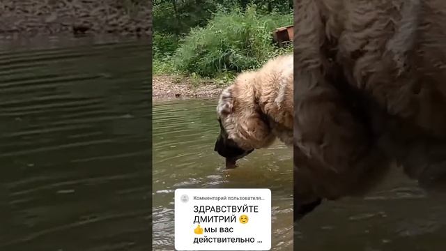 до дна)