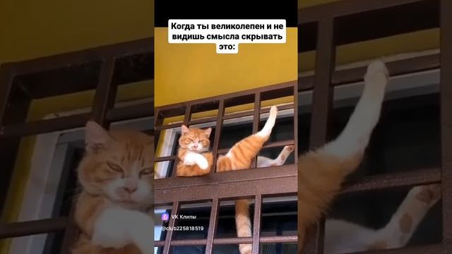 😄