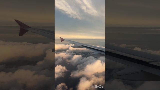 Вид из окна самолёта на земле и в небе