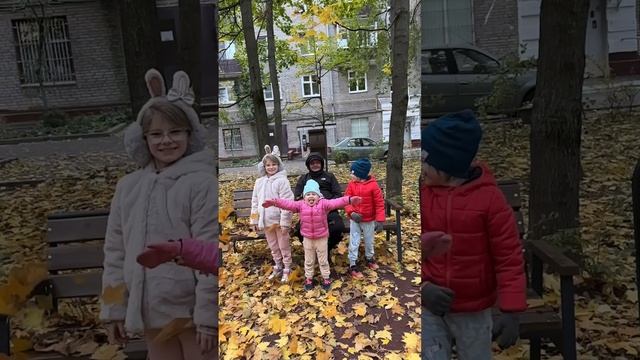 Золотая осень #ОСЕНЬ #ТаняАняМартин