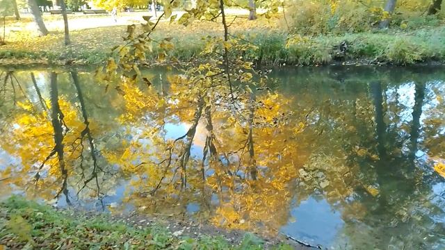 Отражение в воде.