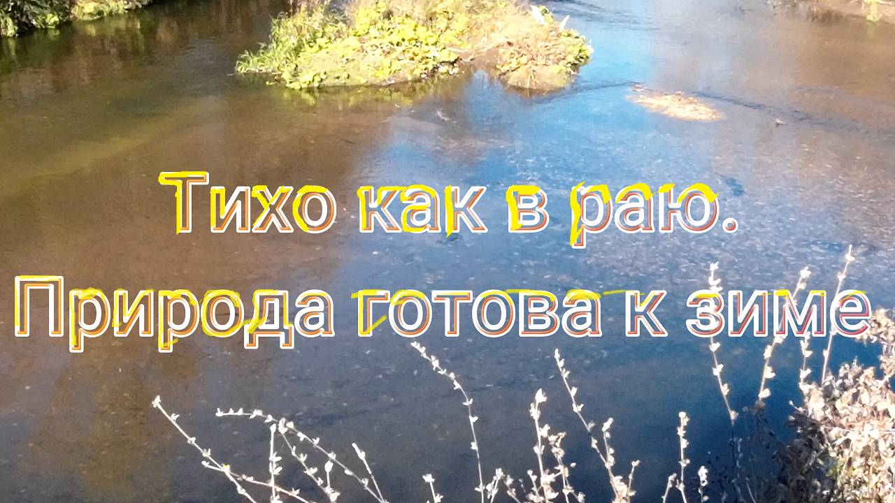 Тихо как в раю (природа к зиме готова)