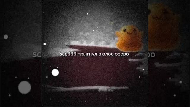 1000486124.mp4