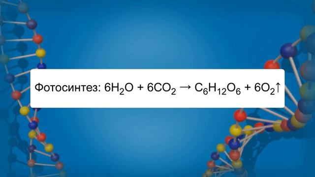 01. Обмен веществ и энергии в клетке