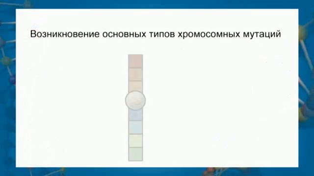 09. Наследственная (генотипическая) изменчивость