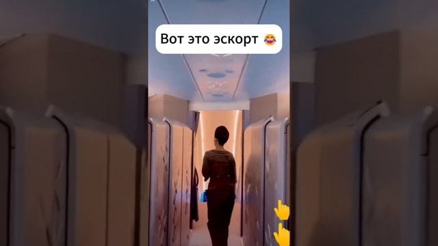 япония