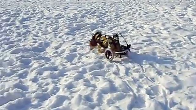 Крисмас на прогулке. ч.2