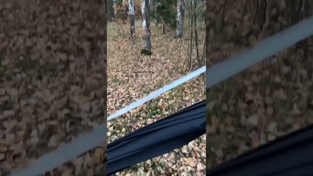 Зонт-трость классический