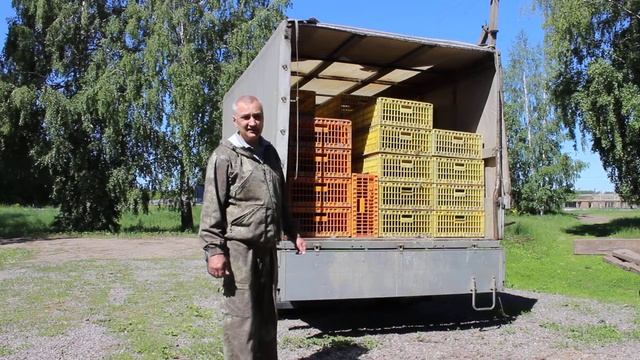 Транспортировка  фазана