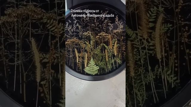 столики - подносы