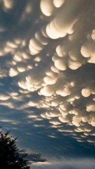 Облака-мамматусы накрыли Краснодар. Ждем ливни.