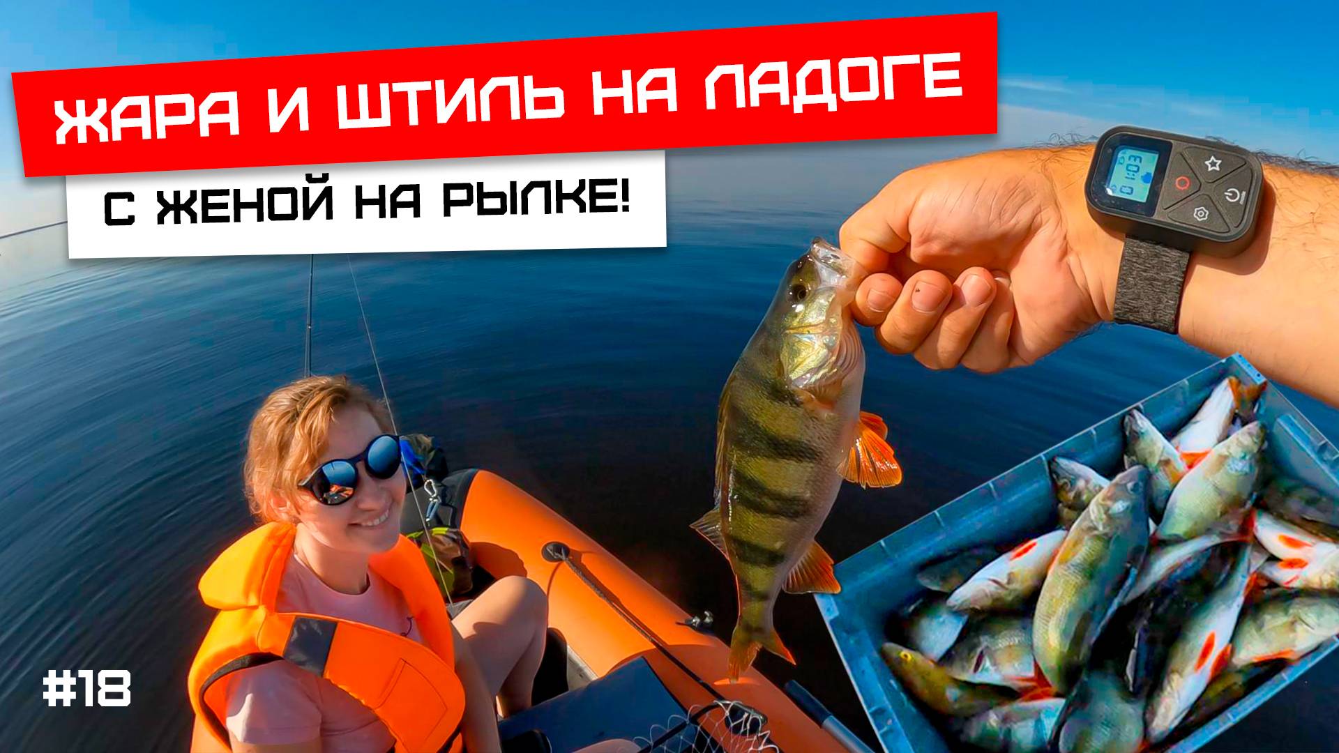 Жара, штиль и много много рыбы!