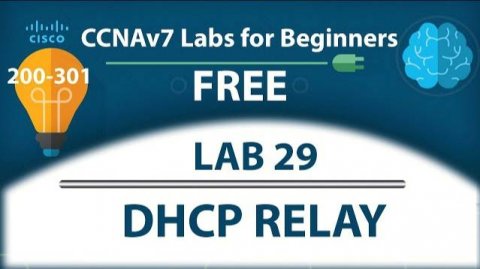 DHCP Configuration for Multiple VLANs | DHCP Relay | IP Helper Address - Lab28 | Free CCNA 200-301