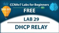 DHCP Configuration for Multiple VLANs | DHCP Relay | IP Helper Address - Lab28 | Free CCNA 200-301