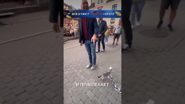 вот это сильные собаки 🤣🤣