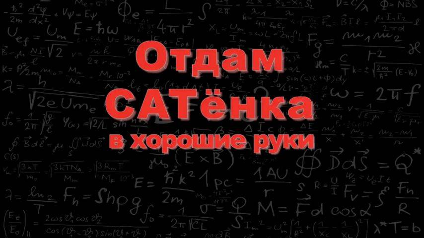 Отдам CATенка в хорошие руки (2018)