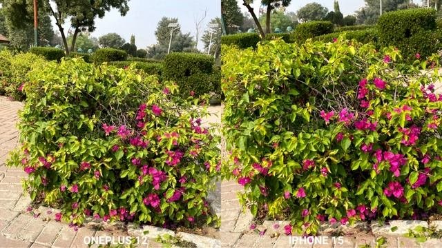 OnePlus 12 Vs iPhone 15 Camera Test