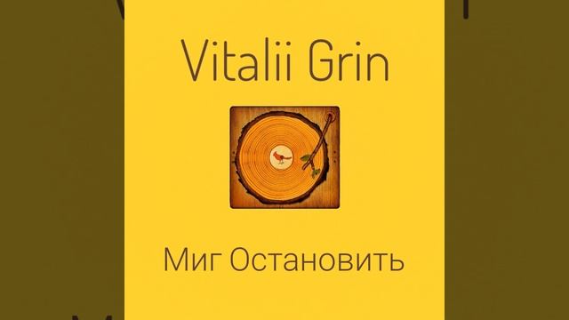 🟡Vitalii Grin - Миг Остановить (I)⚠️