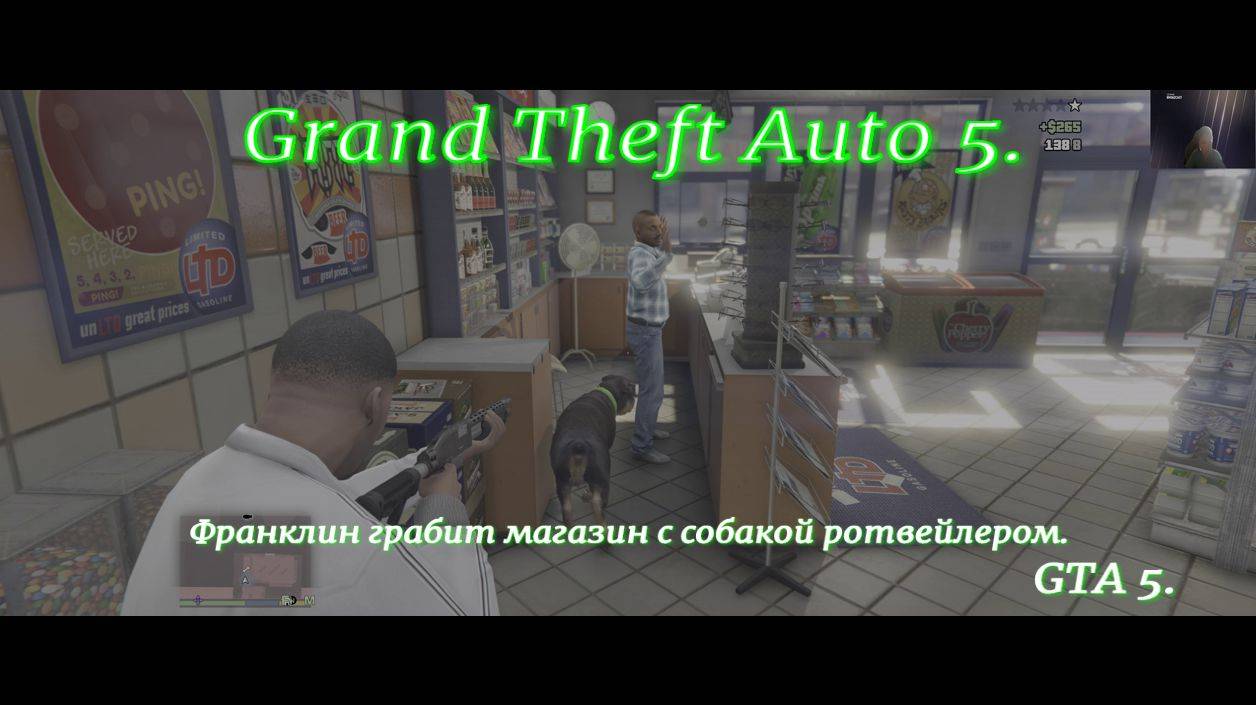 Grand Theft Auto 5.GTA 5.Франклин грабит магазин с собакой ротвейлером.Экшн приключение.На русском.