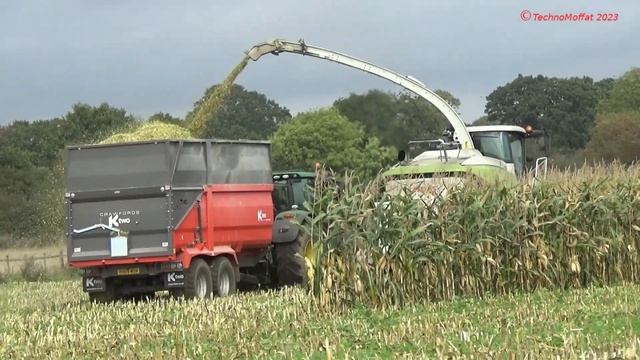 Maize Harvest 2023 - With Claas Jaguar 970, John Deeres, Fendt & JCB Fastrac