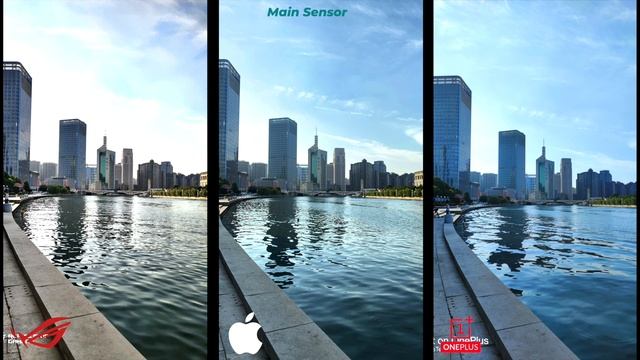 Asus ROG Phone 3 vs Oneplus 8 Pro vs iPhone 11 Pro Camera Comparison