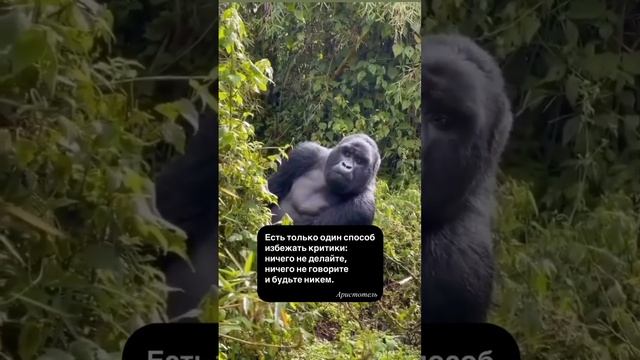 как избежать критики
