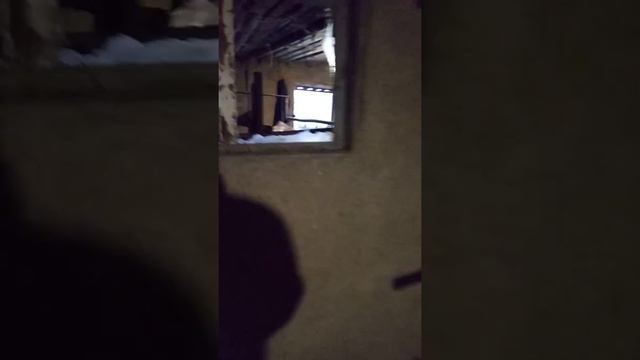 Откорм бычков, 1 видео