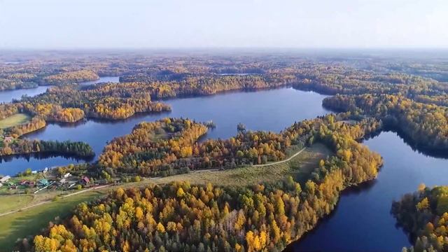 Осенние строки