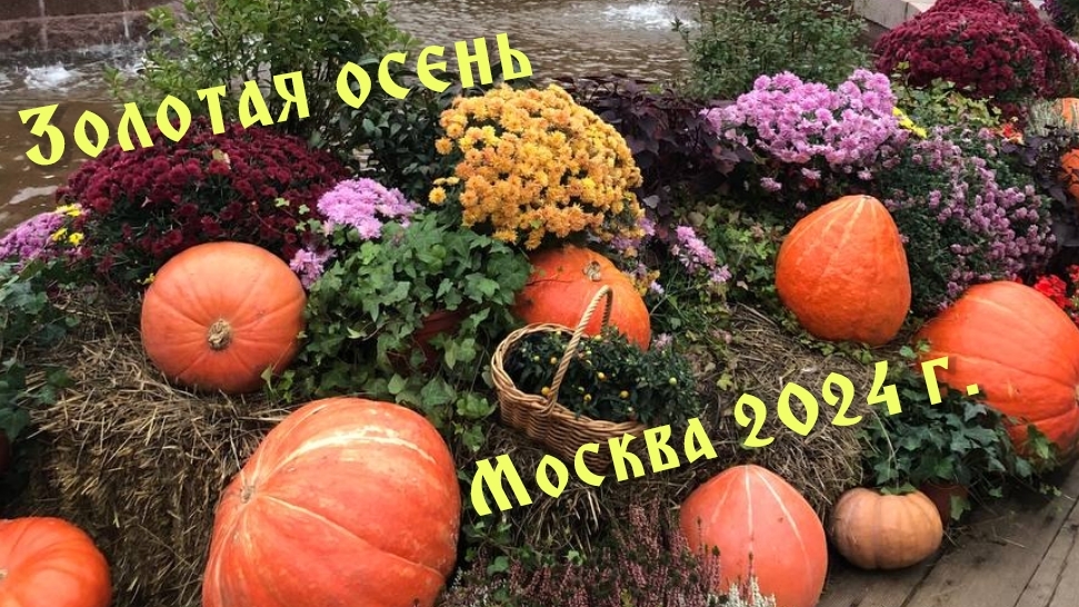 праздник урожая золотая осень в г. Москва
10.10.2024