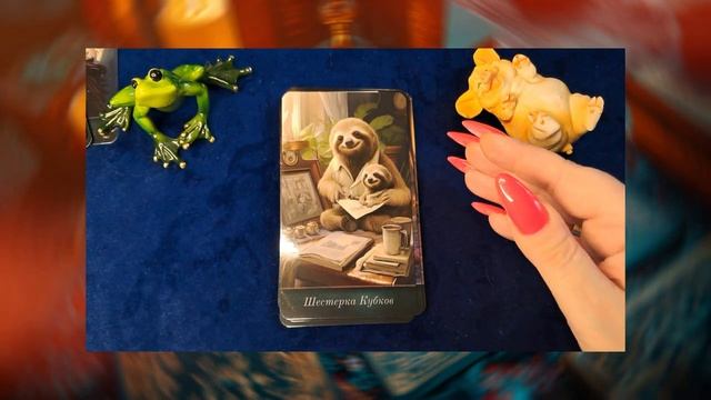 💦🐟🩵Чувственная масть кубков из таро Zoo-City #tarotcards  #авторское