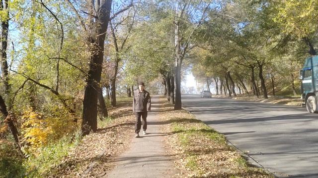 340. г. Хабаровск. Дом народного творчества - Сквер Орджоникидзе. 13.10.24.